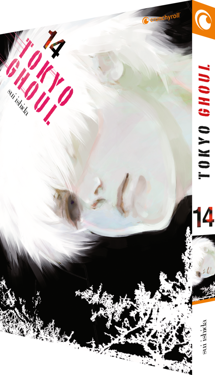 Tokyo Ghoul 14(Ende)