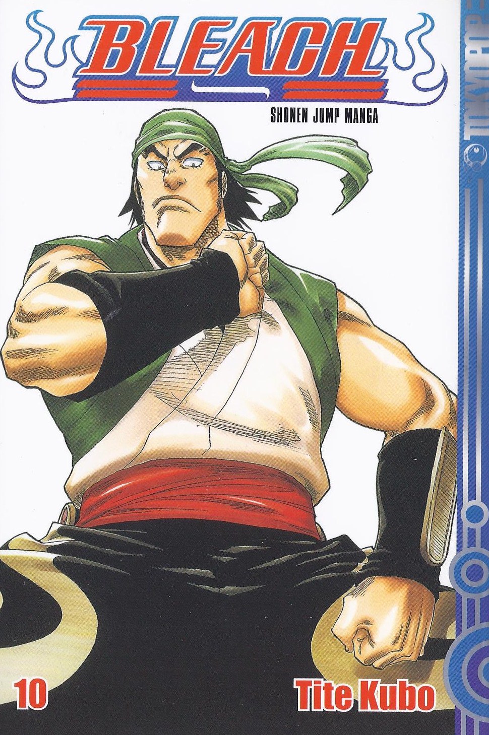 Bleach, Band10
