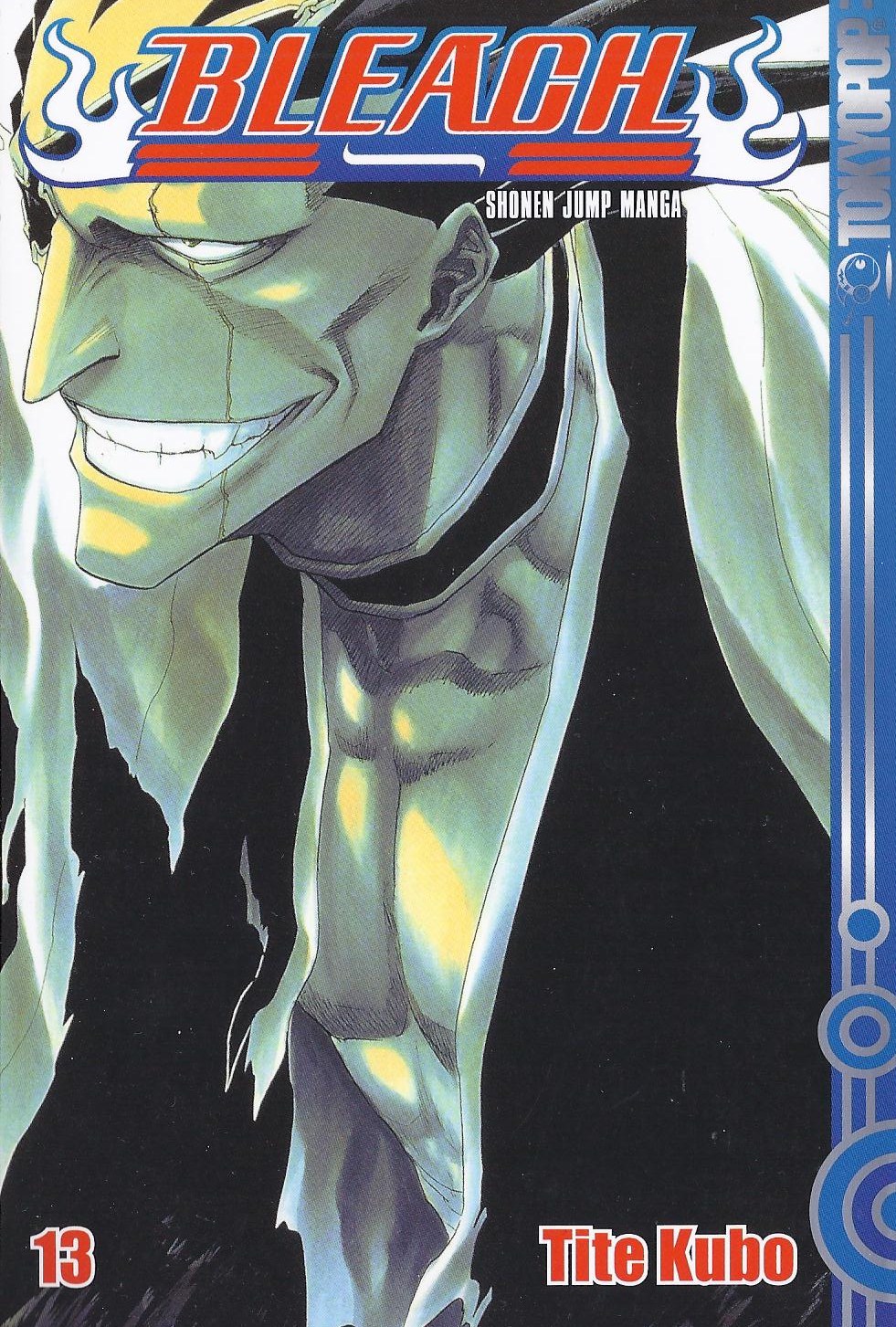 Bleach, Band13