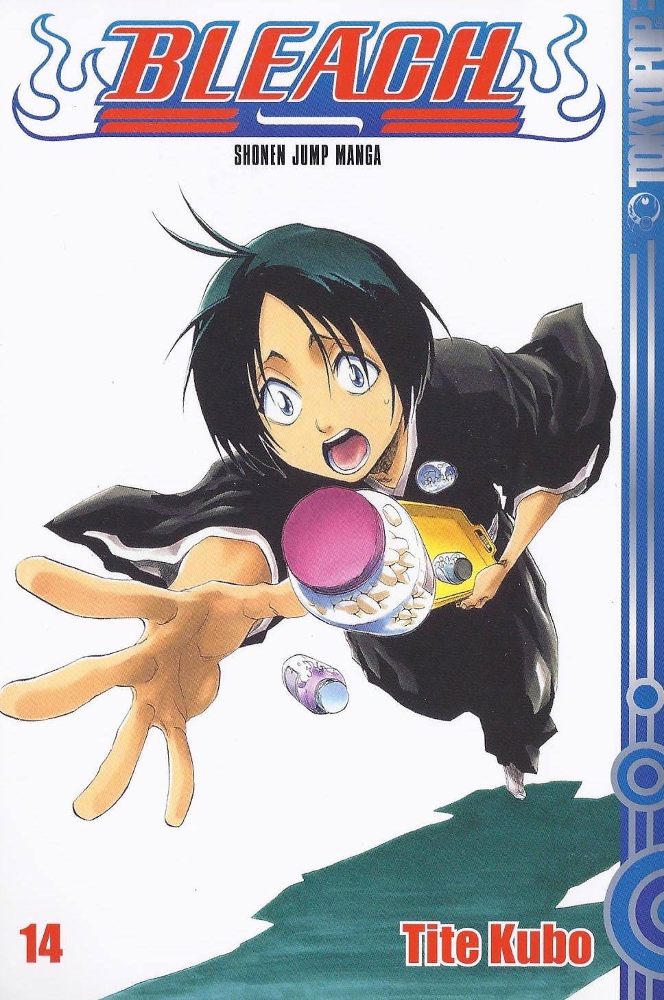 Bleach, Band14