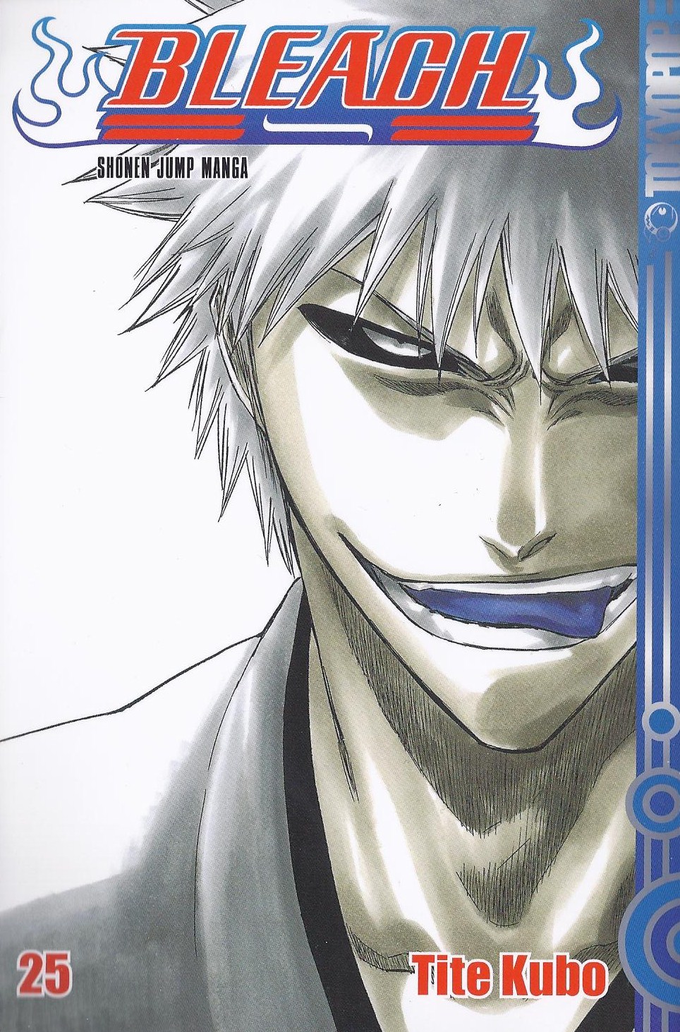 Bleach, Band25