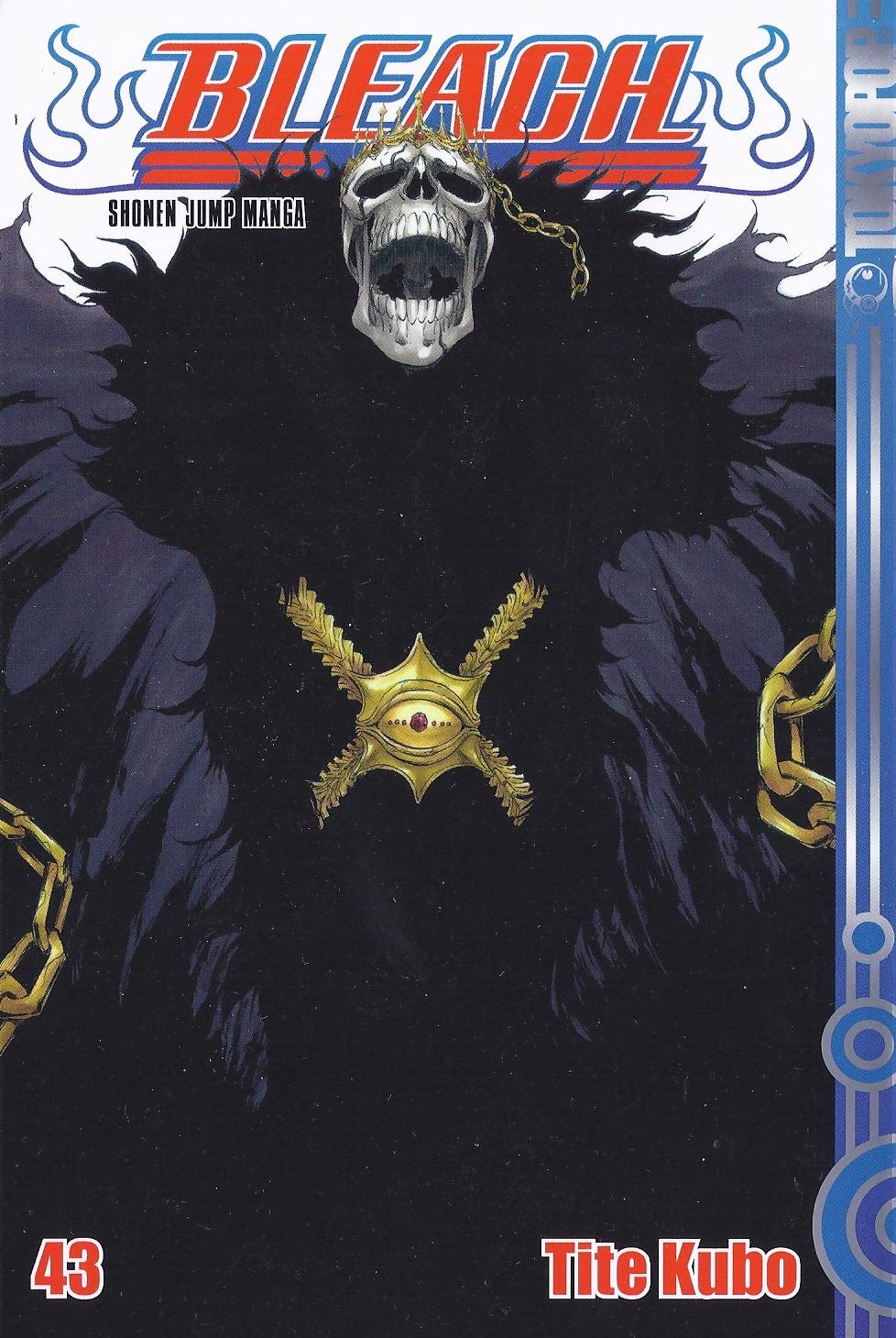 Bleach, Band43