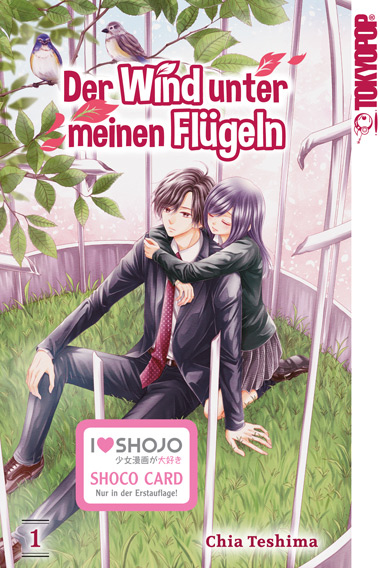 Der Wind unter meinen Flügeln, Band1