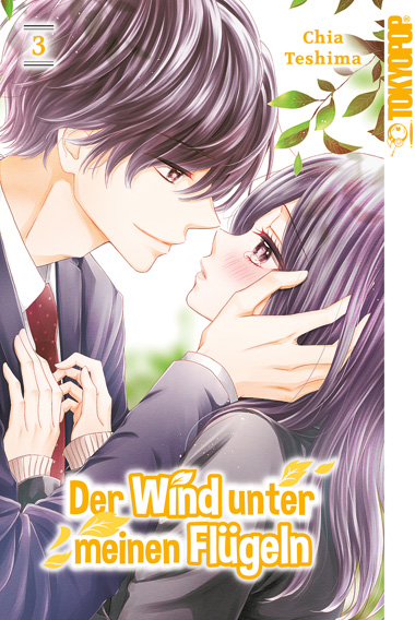 Der Wind unter meinen Flügeln, Band3