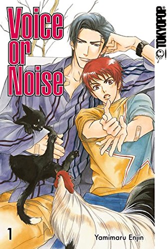 Voice or Noise, Band1