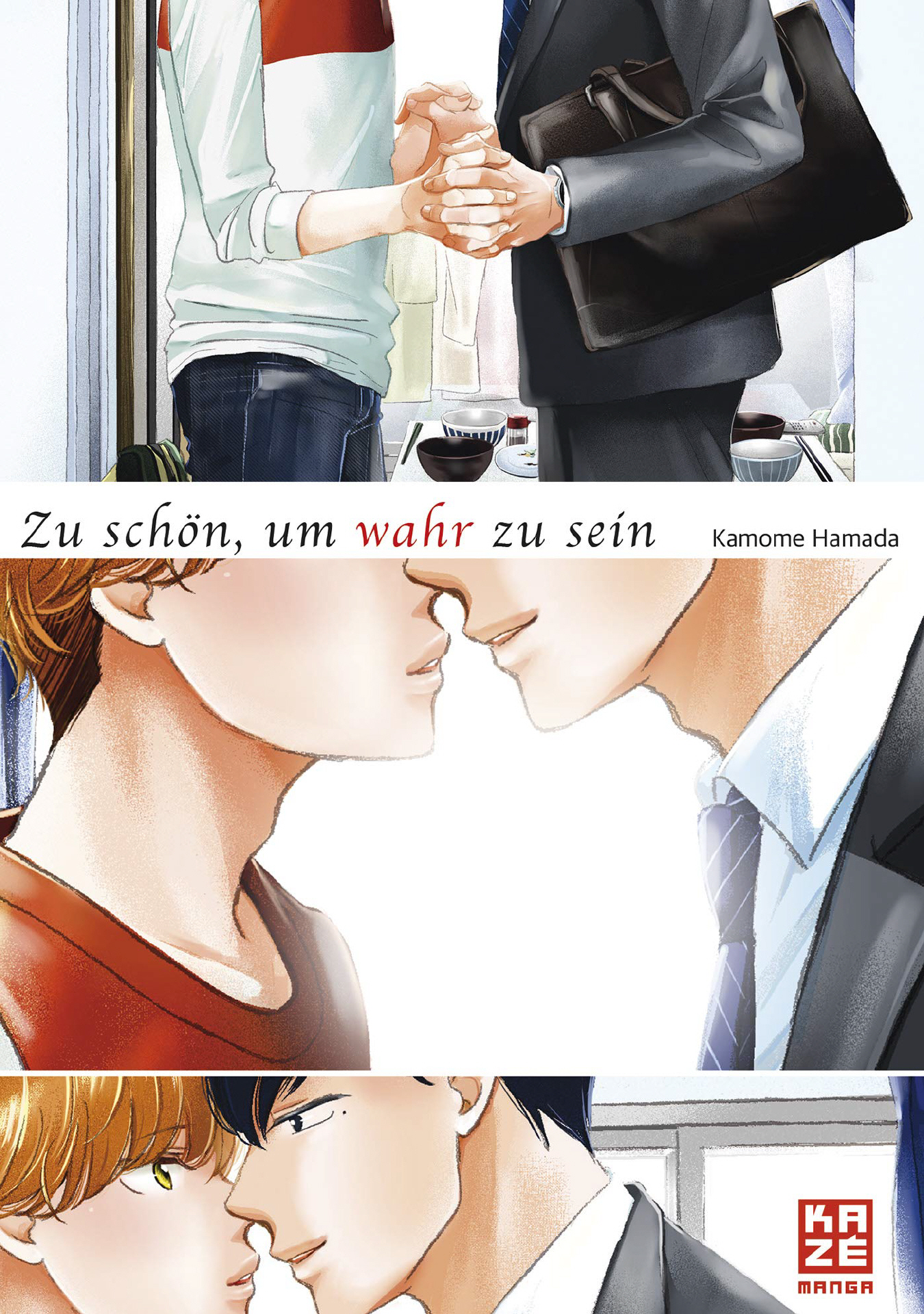 Zu schön, um wahr zu sein (Einzelband)