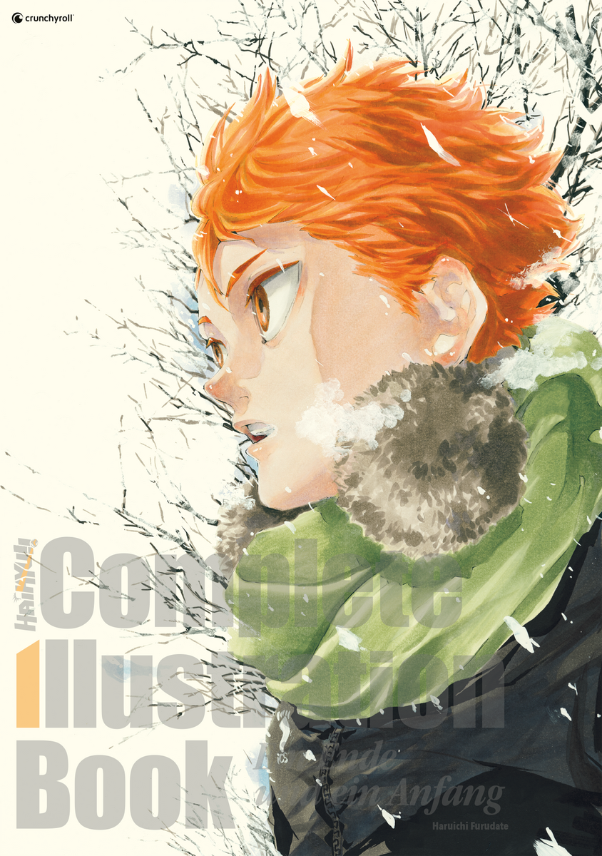 Haikyu - Complete Illustration Book