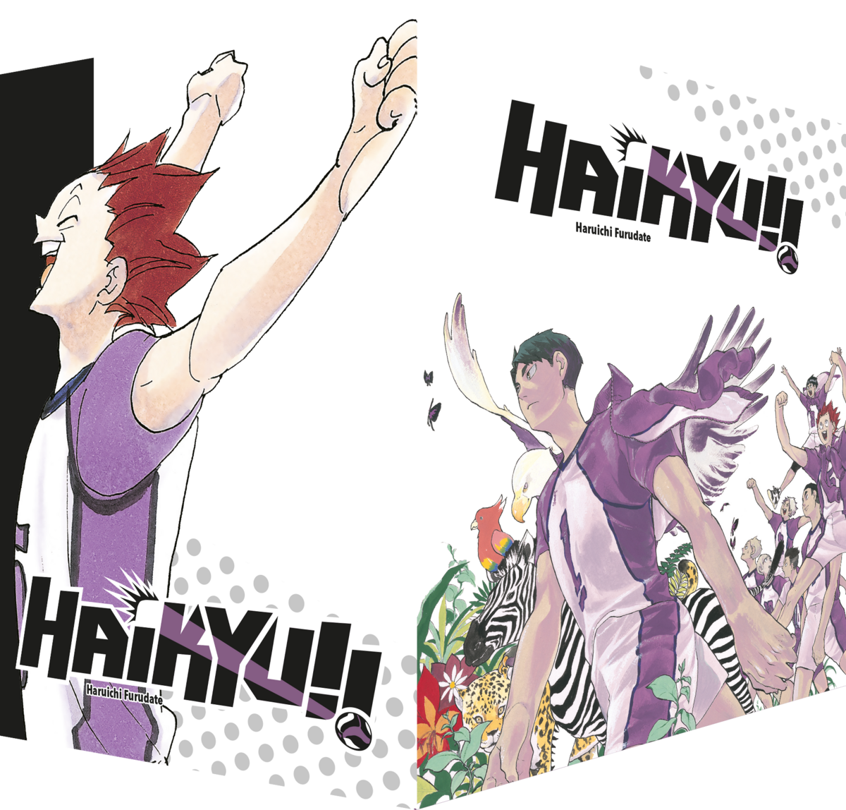 Haikyu!! 40 mit Sammelbox – Bild 2