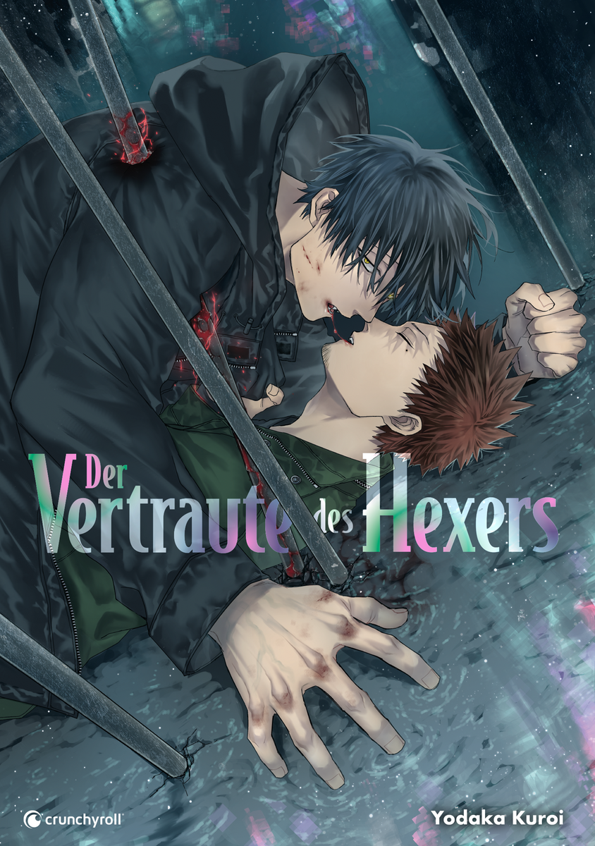 Der Vertraute des Hexers (Einzelband)