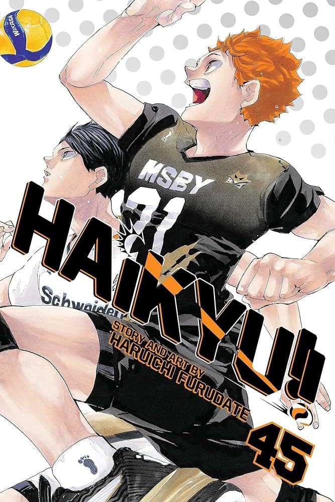 Haikyu!! 45(Ende)