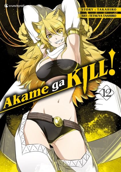 Akame ga Kill 12