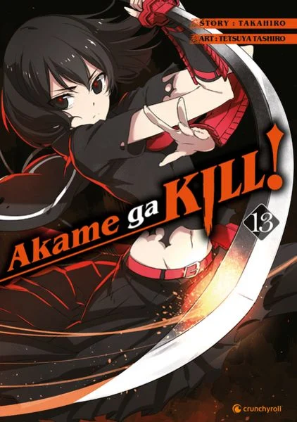 Akame ga Kill 13