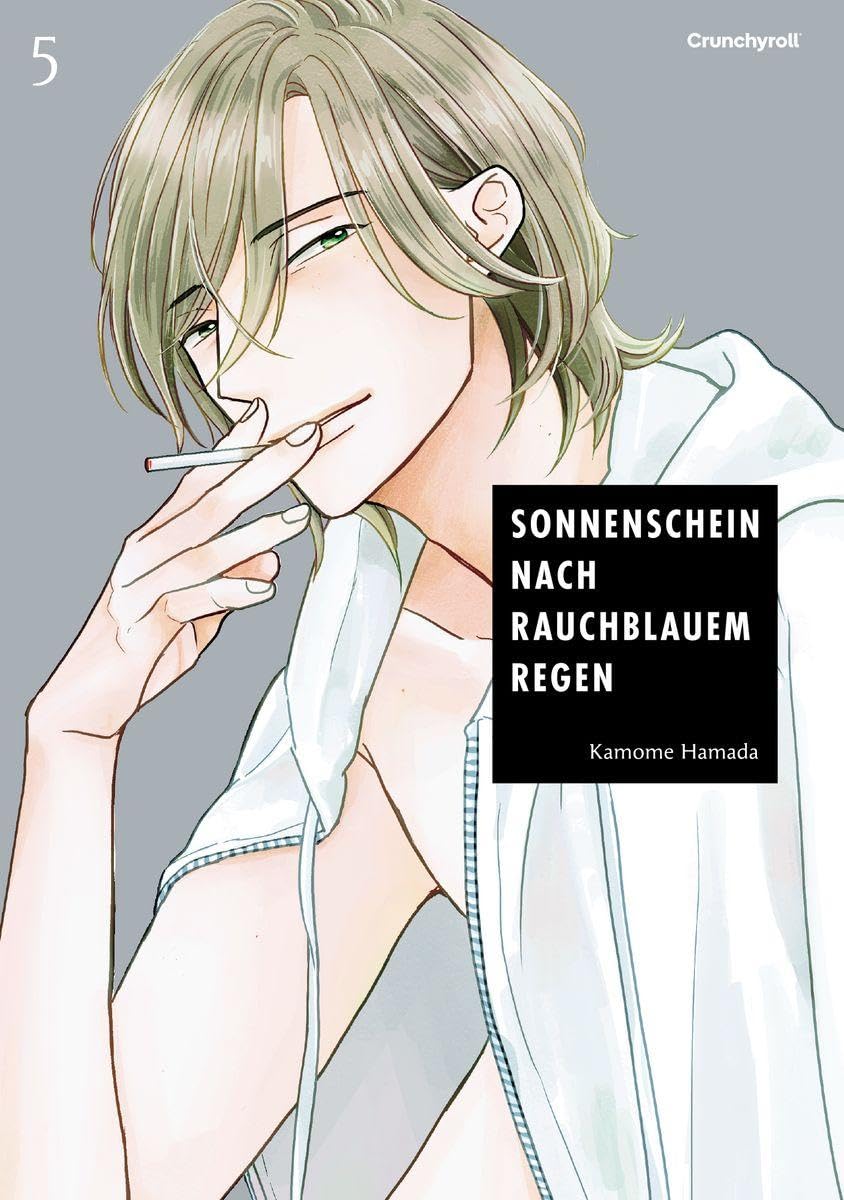 Sonnenschein nach rauchblauem Regen 5