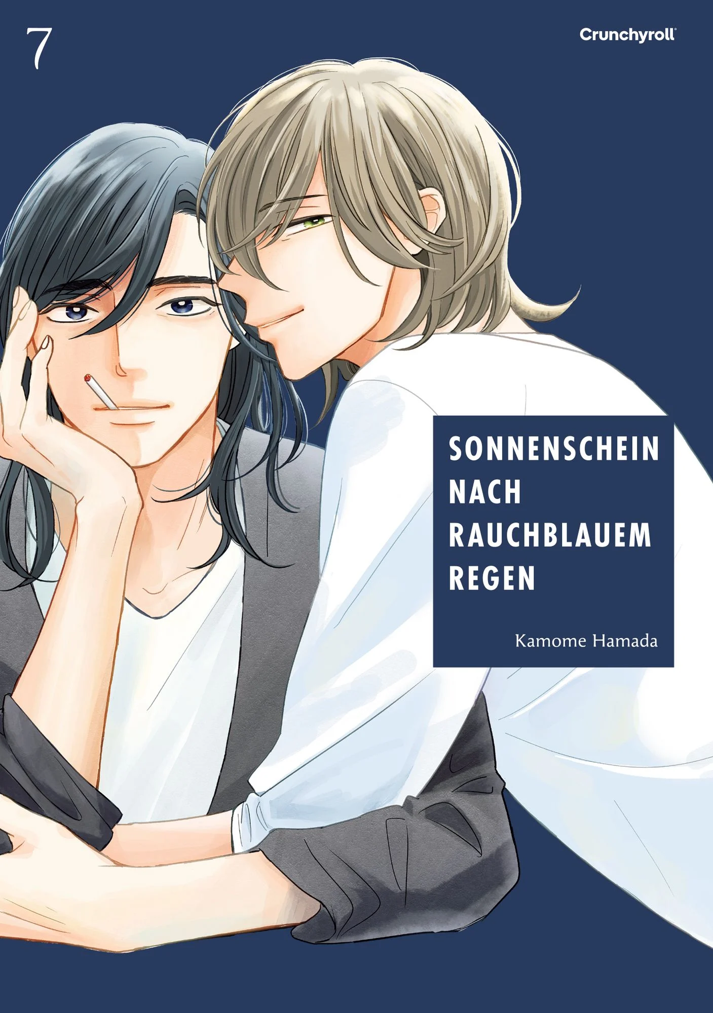 Sonnenschein nach rauchblauem Regen 7